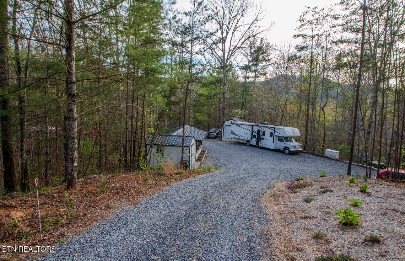 472 Highway 107 Del Rio, TN 37727 - Photo 35 of 45 IMG_6850