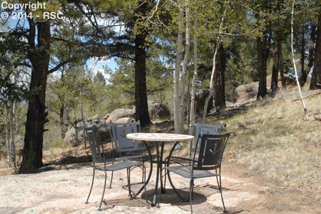 775 Cochetopa Road Florissant, CO 80816 - Photo 19 of 25 Gallery Image 19