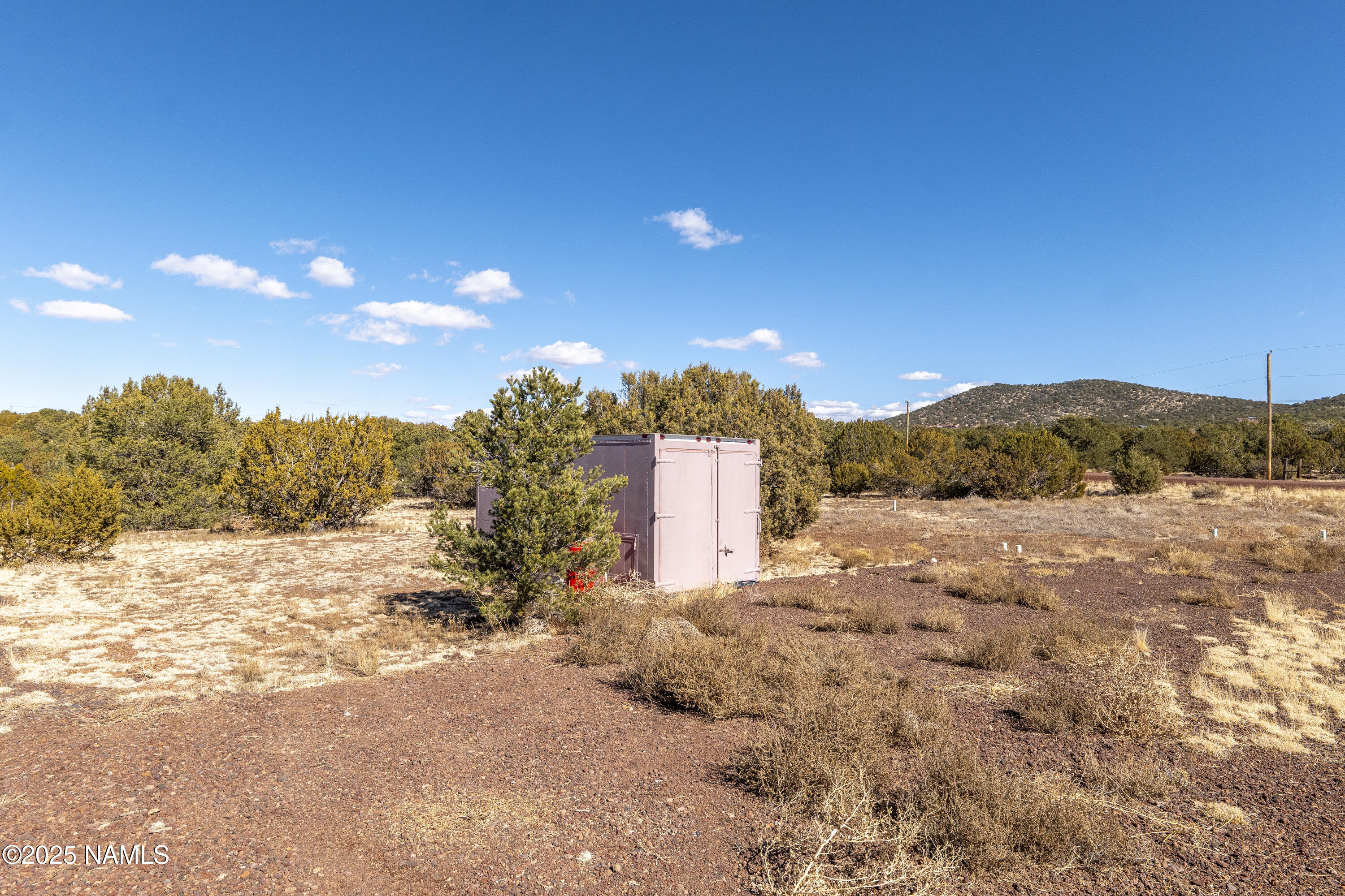 7066 North Buck Ridge Road Williams, AZ 86046 - Photo 14 of 27 Clusters of Trees Create Privacy