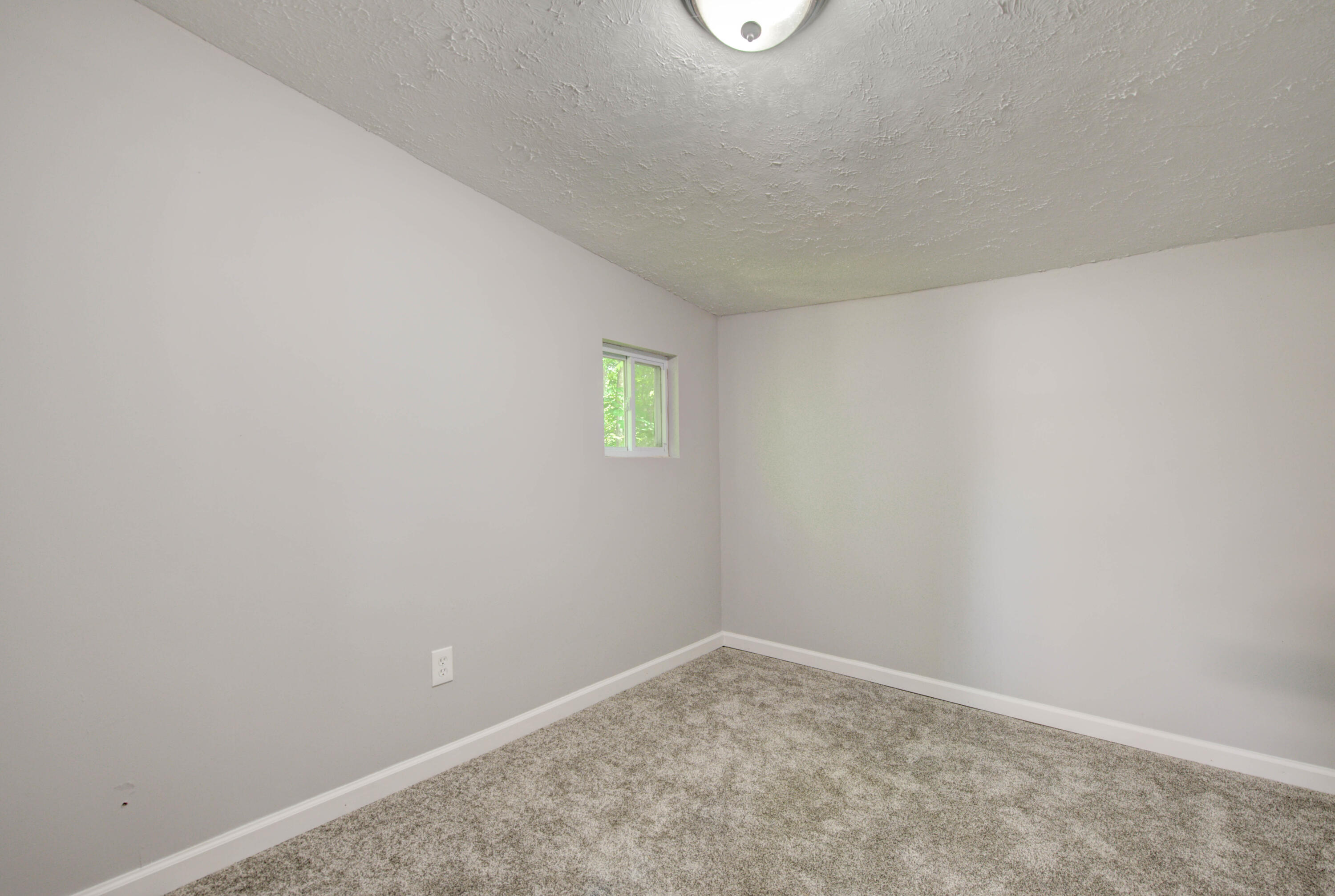 7812 Staley Road Corryton, TN 37721 - Photo 11 of 26 11