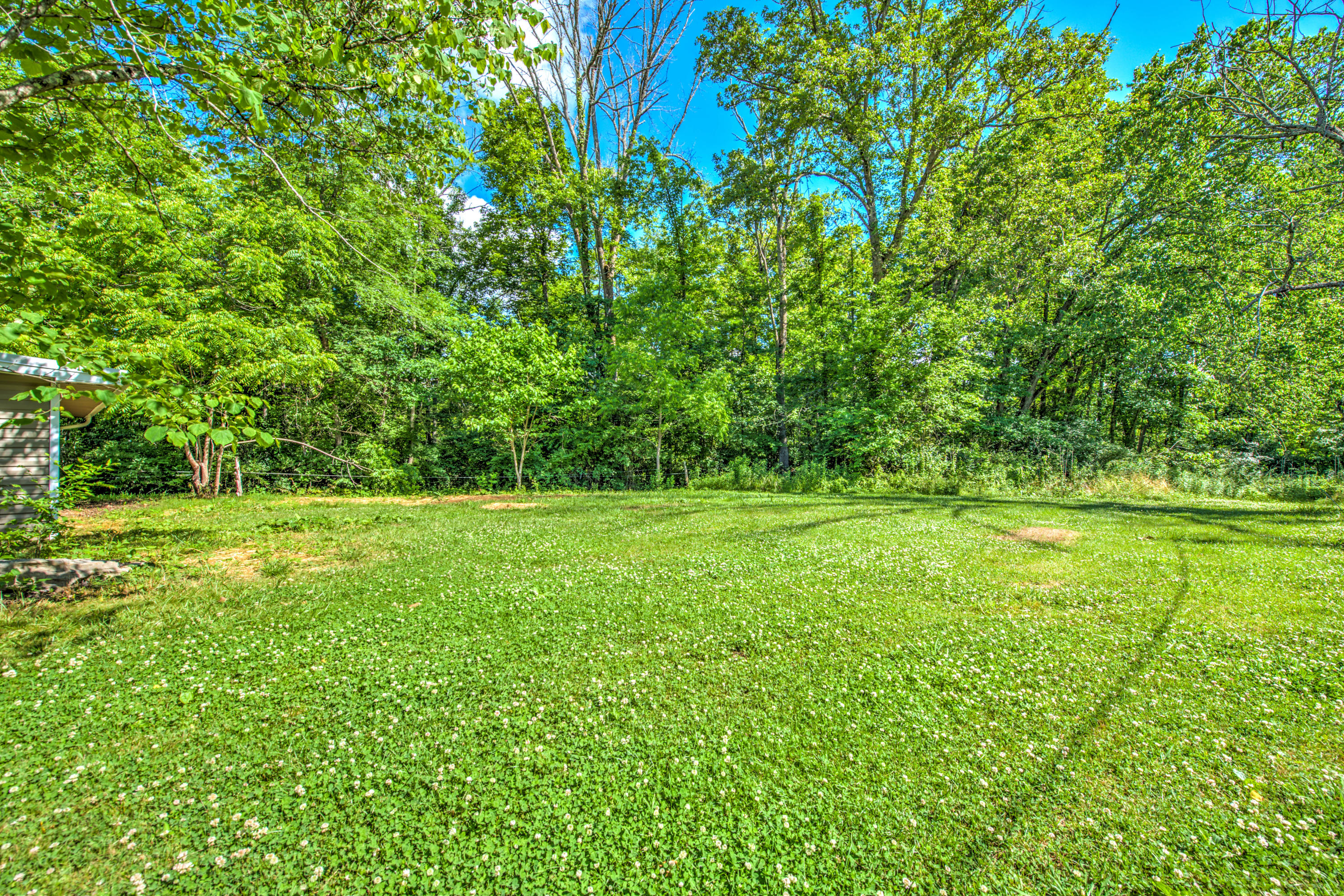 7812 Staley Road Corryton, TN 37721 - Photo 25 of 26 26