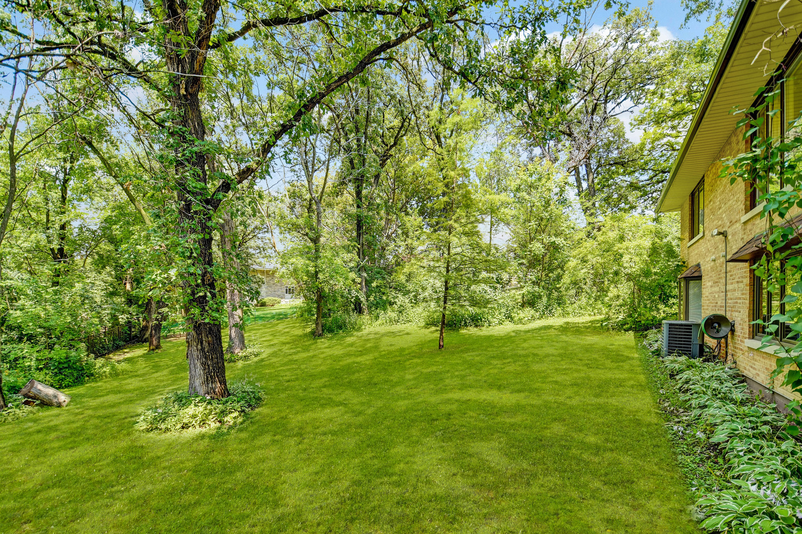12320 South Ridge Avenue Palos Park, IL 60464 - Photo 33 of 33 a big yard with lots of green space and trees