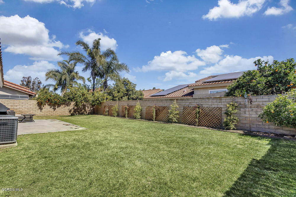 4734 Avedon Road Moorpark, CA 93021 - Photo 28 of 28 a view of a backyard with plants and a large tree