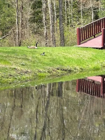 a view of a garden from a balcony