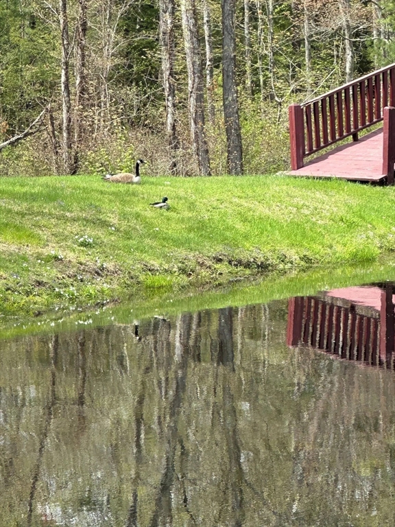 427 Silver Street Middleton, NH 03887 - Photo 6 of 40 a view of a garden from a balcony