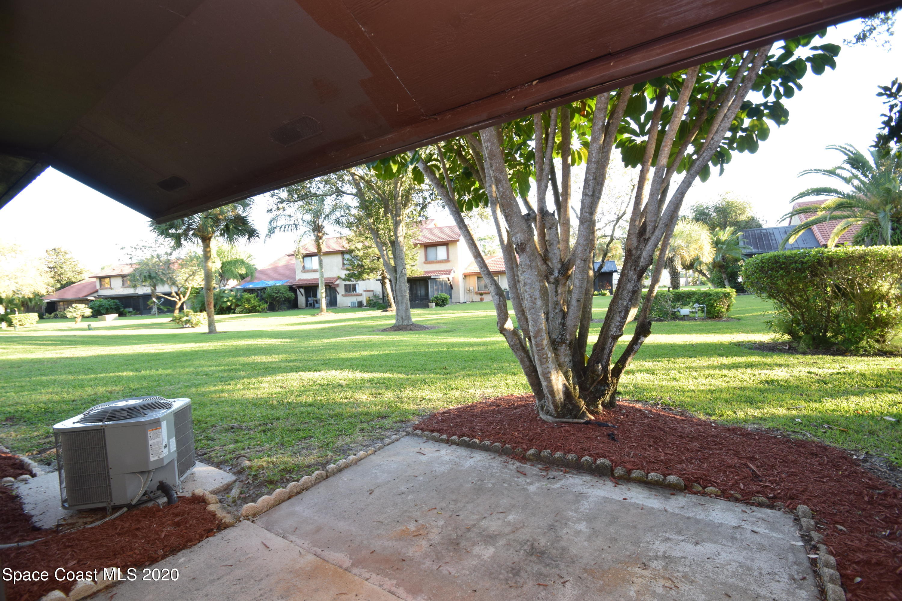 1654 Dawes Road Northeast Palm Bay, FL 32905 - Photo 35 of 47 a view of a yard with plants and large trees