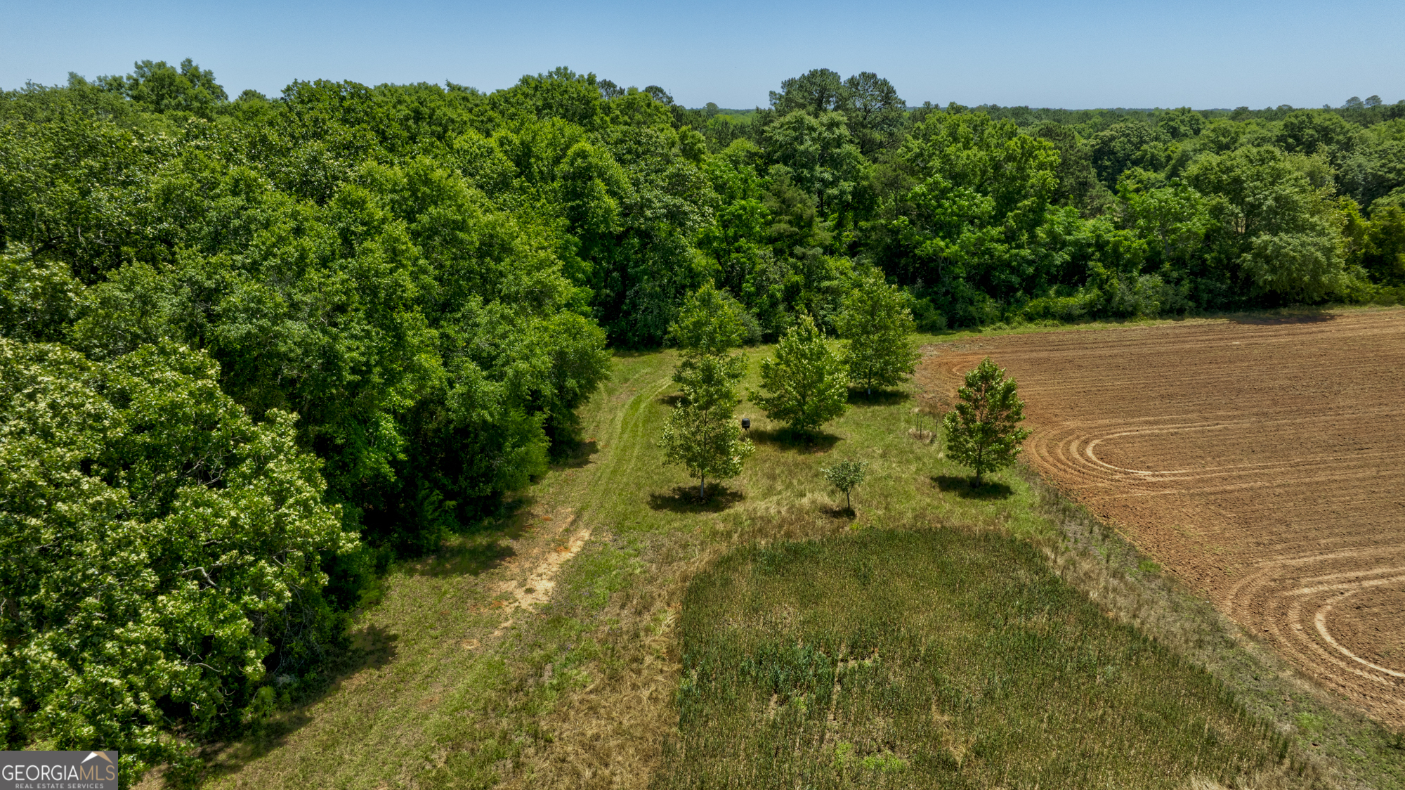 246 Melton Mill Road Dawson, GA 39842 - Photo 49 of 78