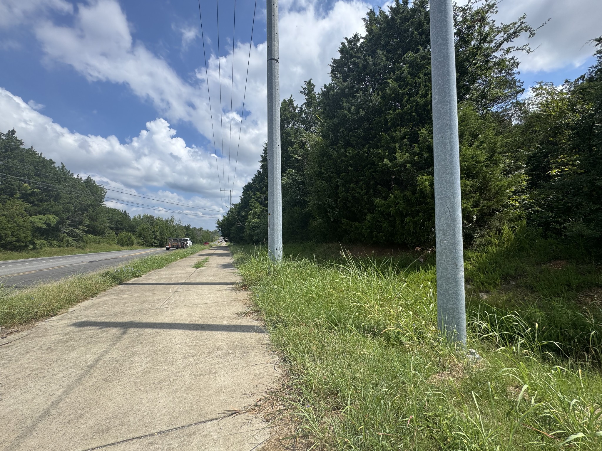 0 Pin Hook Road Antioch, TN 37013 - Photo 2 of 7 a view of path plants and trees