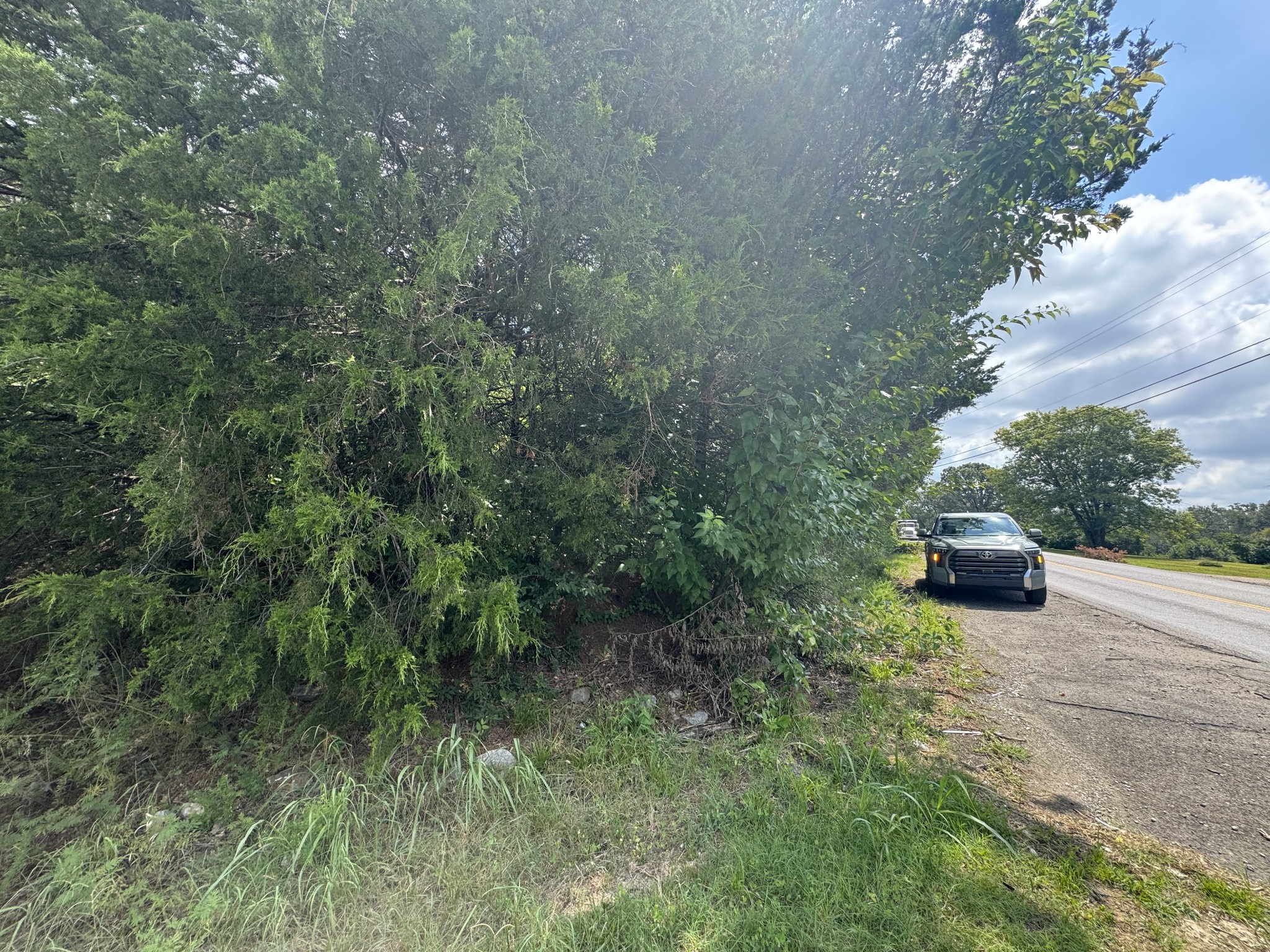 0 Pin Hook Road Antioch, TN 37013 - Photo 5 of 7 a view of a backyard with parked car