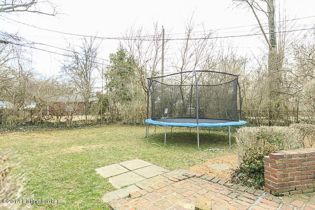 8712 Whipps Mill Road Louisville, KY 40222 - Photo 22 of 26 back yard