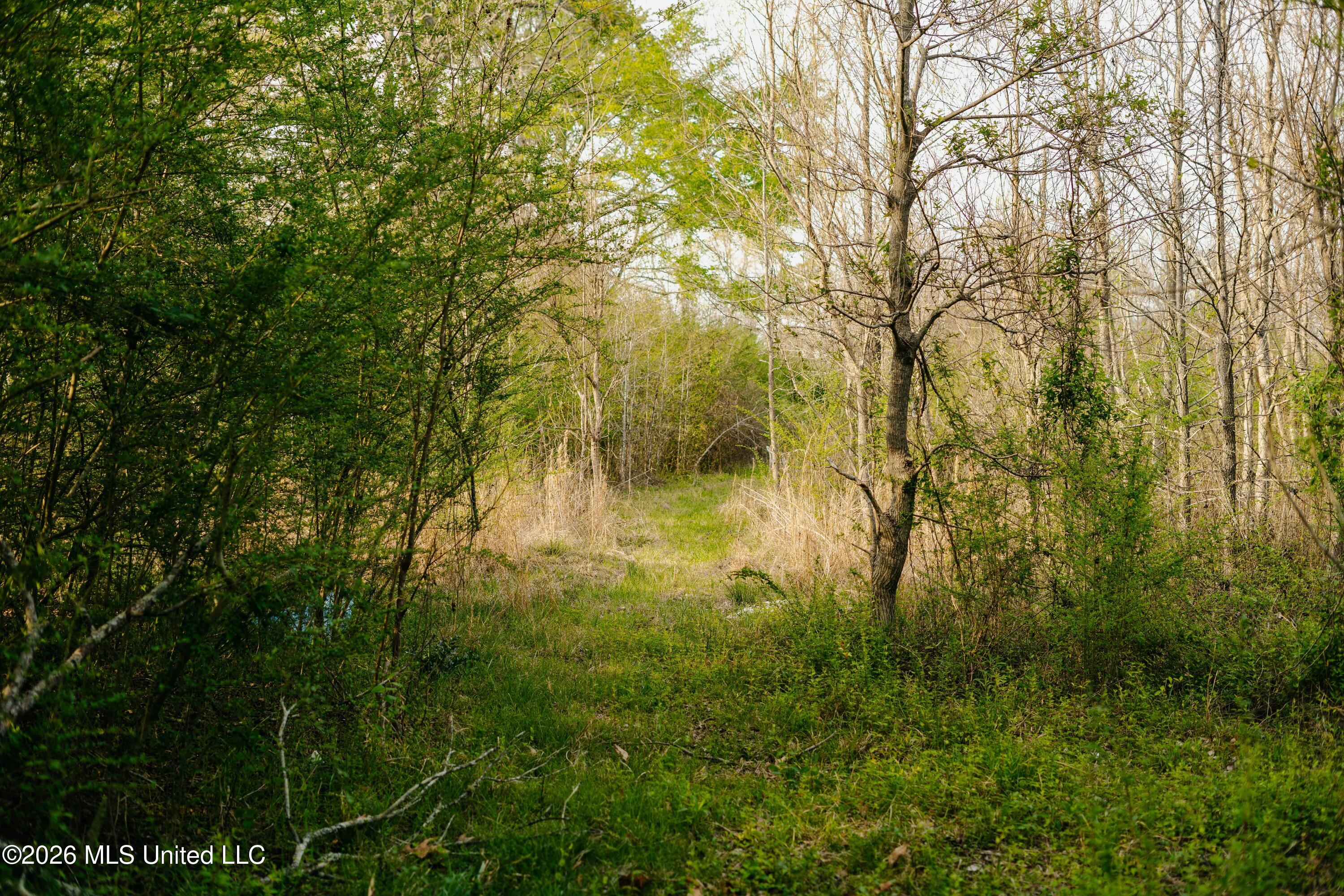 1844 Volley Campbell Road Terry, MS 39170 - Photo 41 of 81 DSC02395