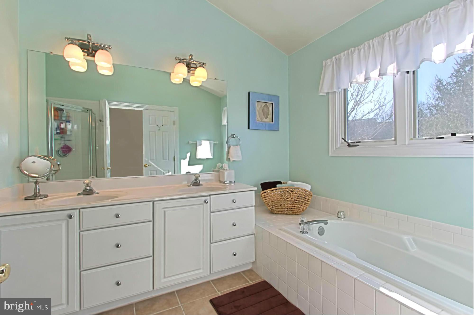 3641 Ransom Place Alexandria, VA 22306 - Photo 17 of 30 Bath (Master)