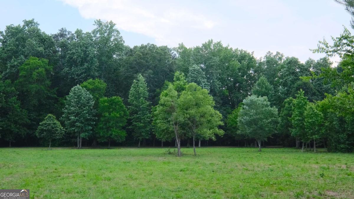 1455 Tappan Spur Road Watkinsville, GA 30677 - Photo 2 of 38
