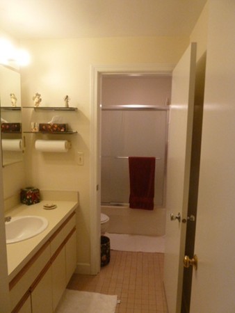 12 Victoria Heights Road, Unit 12 Boston, MA 02136 - Photo 10 of 22