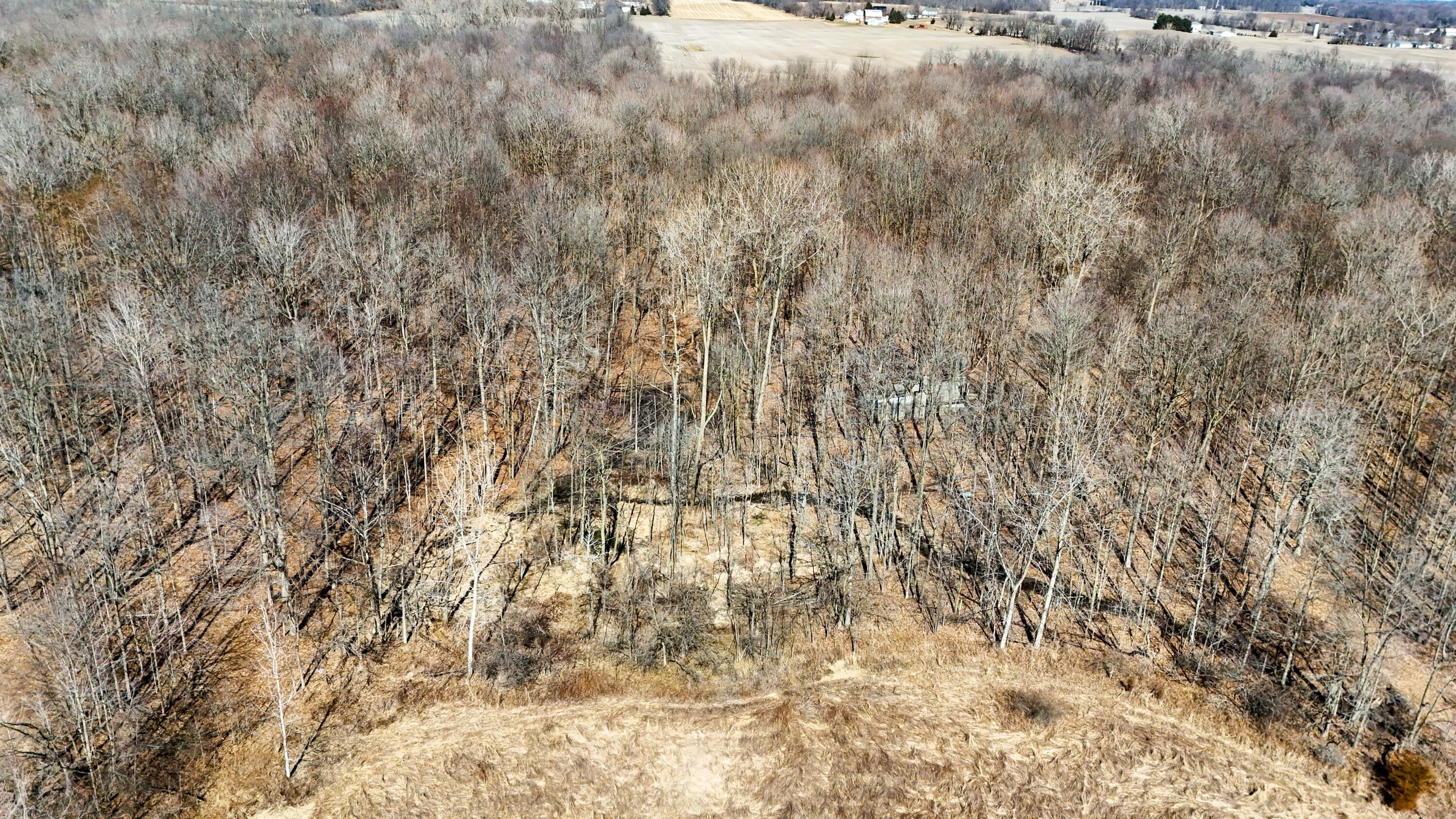 8360 Day Road Pittsford, MI 49271 - Photo 42 of 42 DJI_20260302131003_0085_E