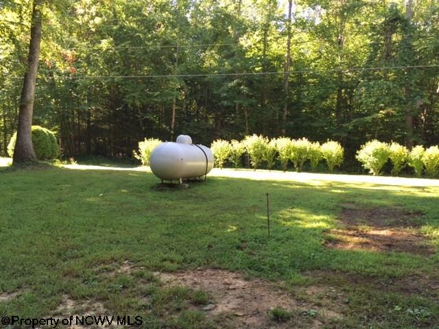 514 Wagon Wheel Road Huttonsville, WV 26273 - Photo 13 of 17 Gallery Image 13