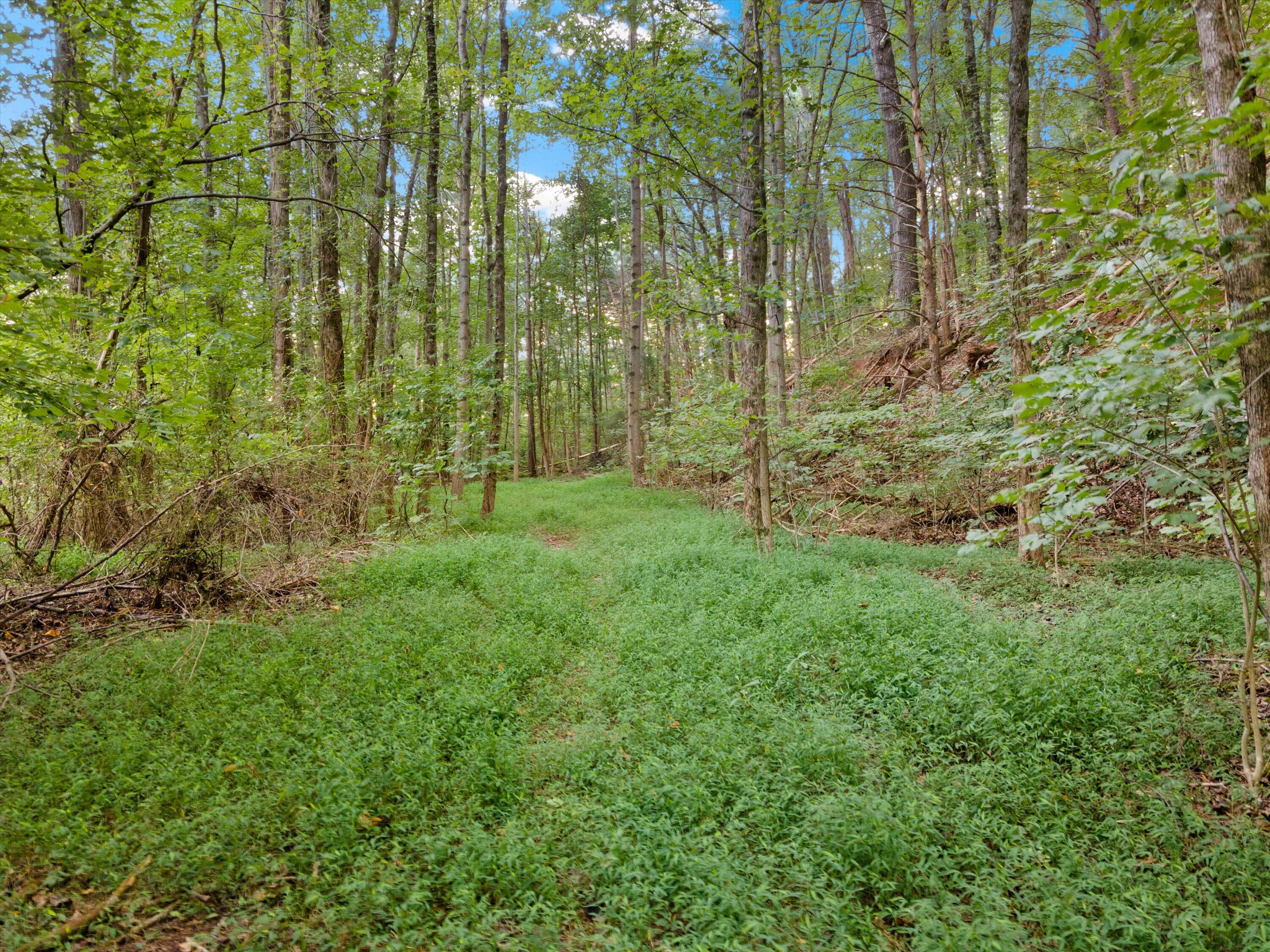 1141 Brush Town Road Cisco, GA 30708 - Photo 22 of 30 22-1141 Brush Town Rd-13