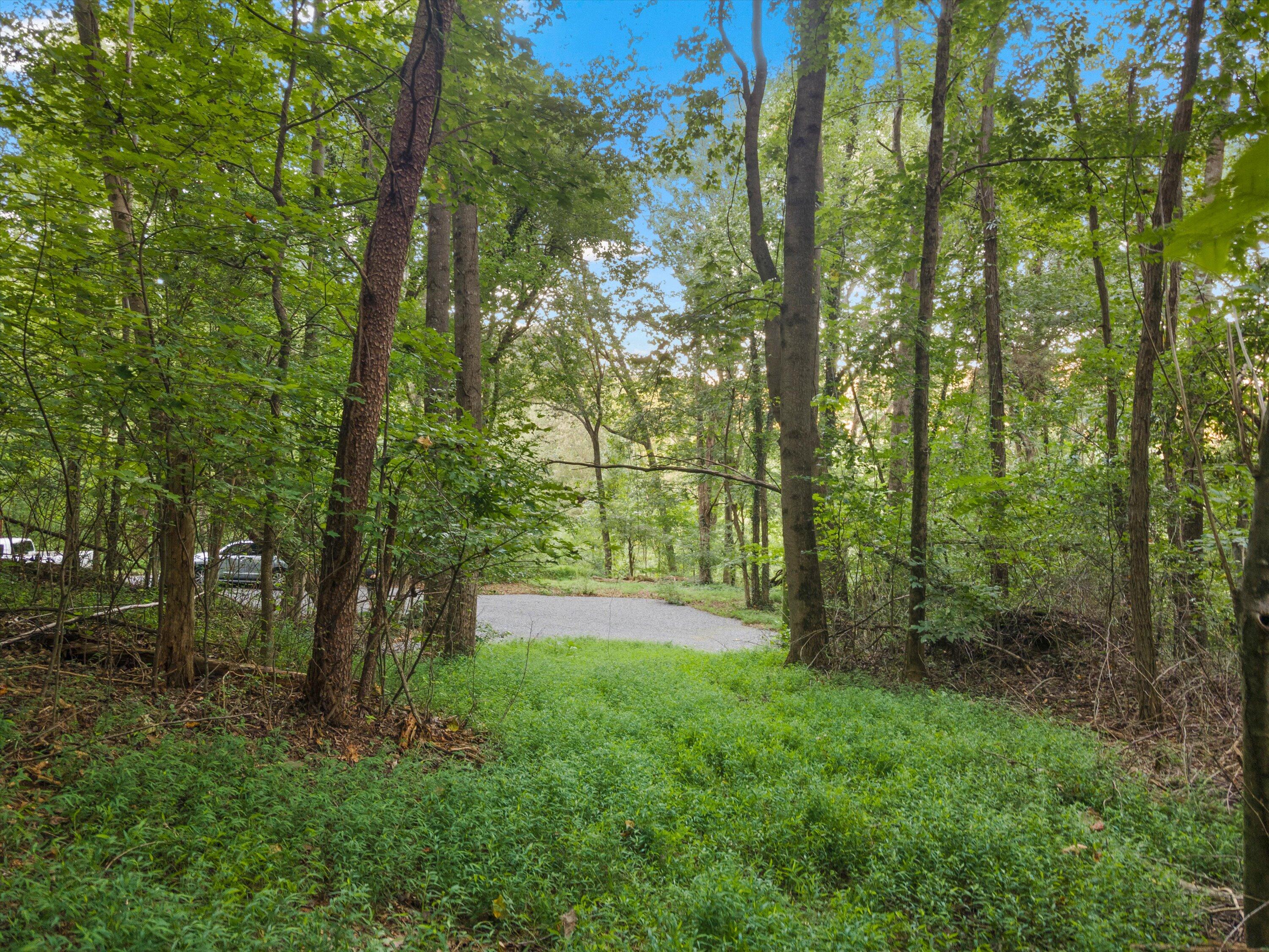 1141 Brush Town Road Cisco, GA 30708 - Photo 23 of 30 23-1141 Brush Town Rd-14