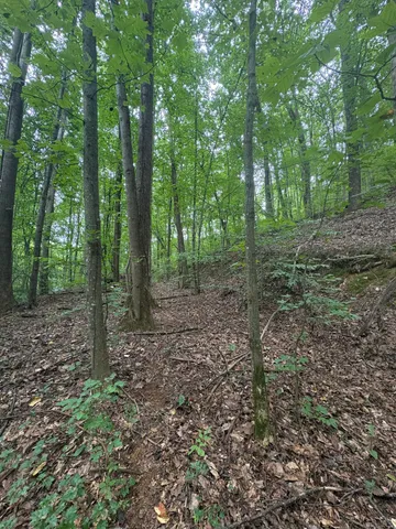 $139,900 | 1141 Brush Town Road, Cisco, GA 30708