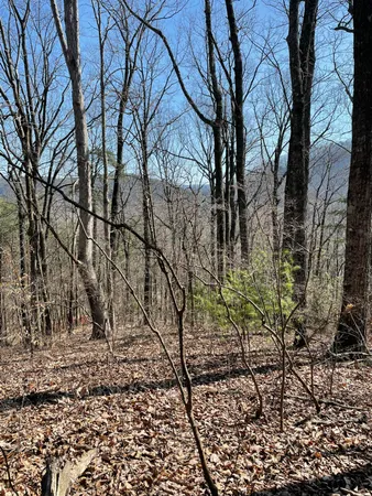 $119,900 | 1141 Brush Town Road, Cisco, GA 30708