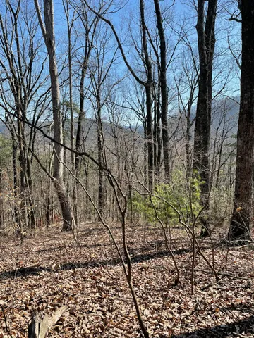 $139,900 | 1141 Brush Town Road, Cisco, GA 30708