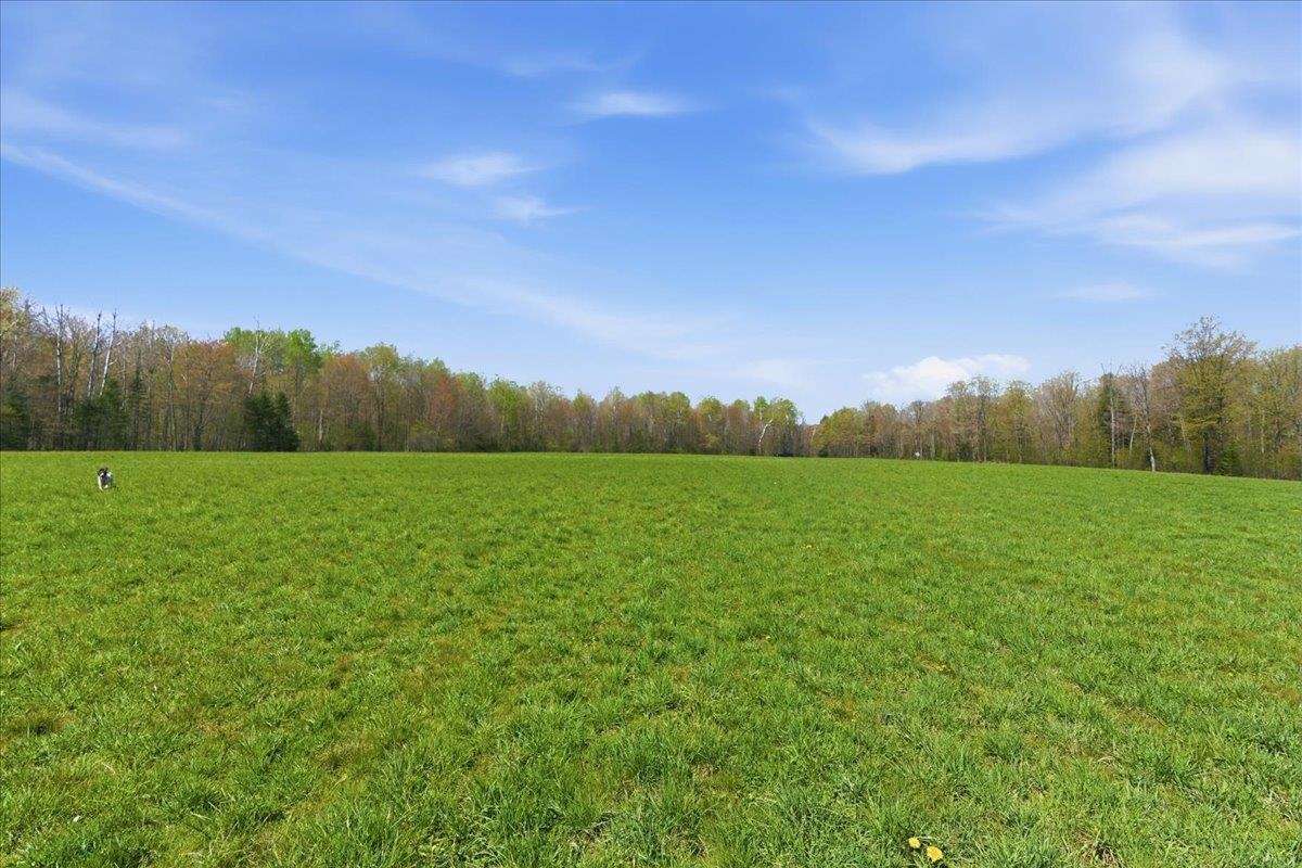W585 Strucker Road Ogema, WI 54459 - Photo 39 of 55