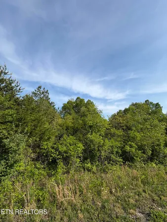 $12,500 | Lot 60 Saddle Ridge Drive, Speedwell, TN 37870