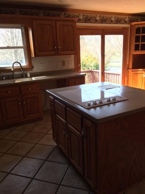 351 Lyons Road Bluff City, TN 37618 - Photo 14 of 22 LYONS KITCHEN VU 2