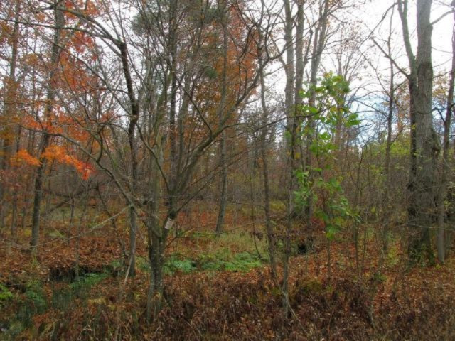 6015 East McBride's Road Edmore, MI 48829 - Photo 4 of 33 mcbride1