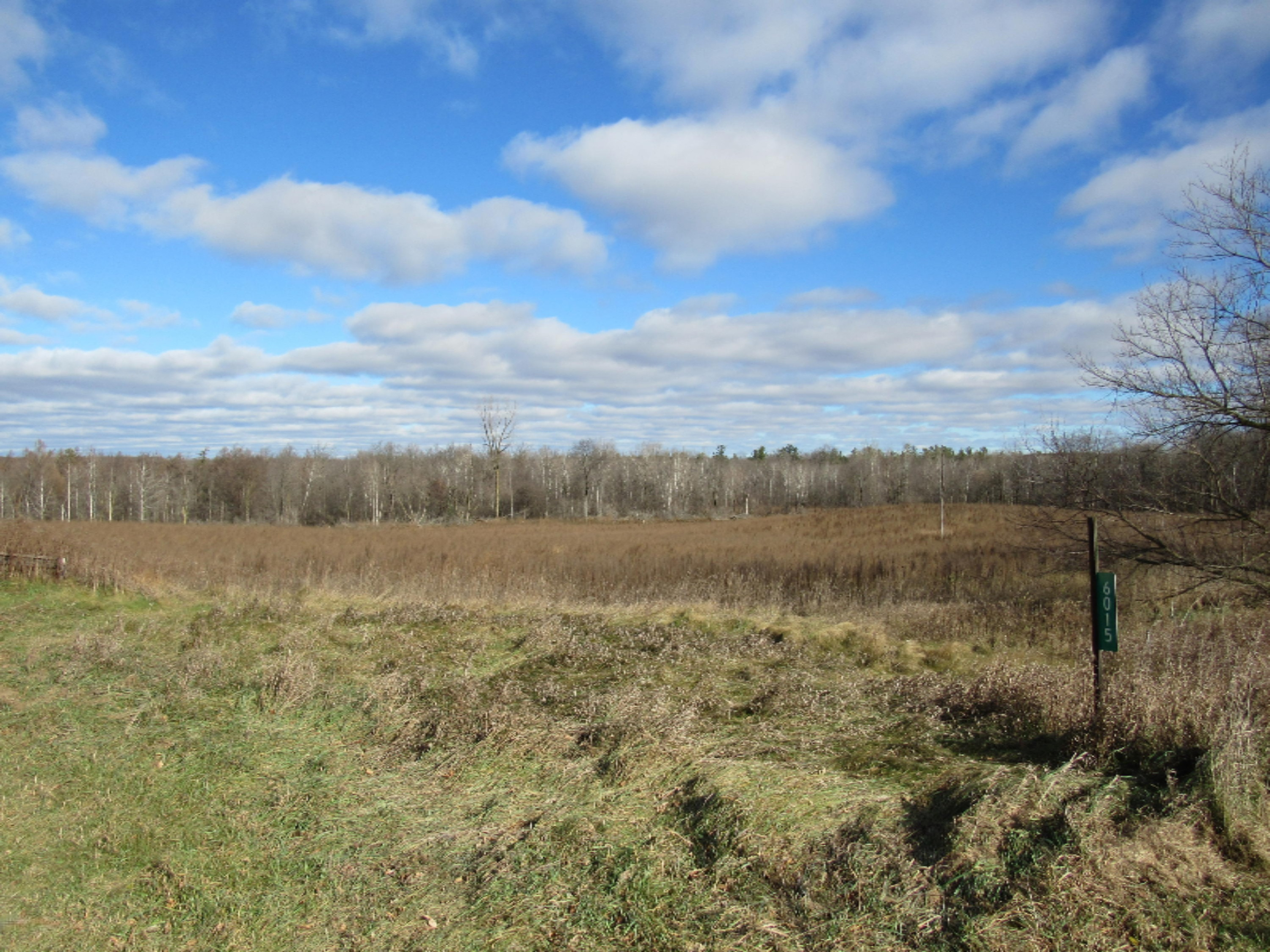 6015 East McBride's Road Edmore, MI 48829 - Photo 6 of 33 002