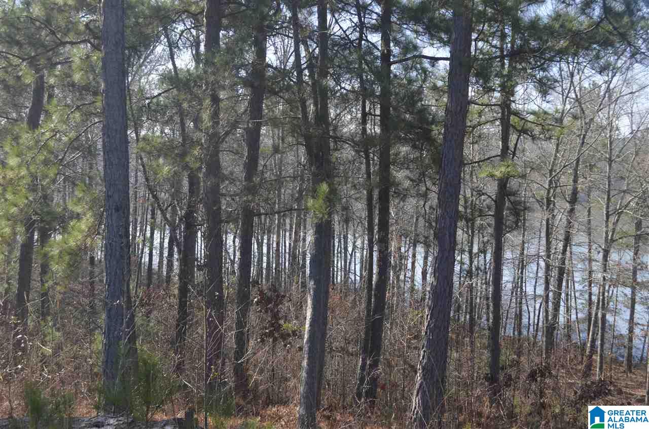 Stillwaters Trail, Unit 179 Sylacauga, AL 35151 - Photo 10 of 20