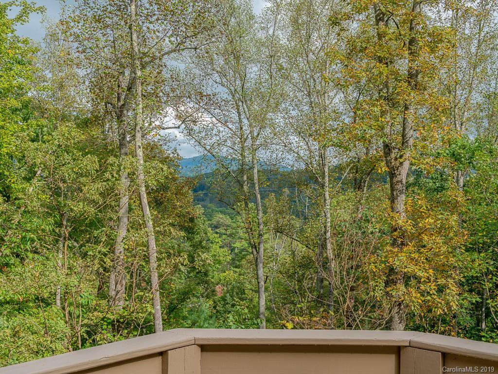 64 Fox Den Road Asheville, NC 28805 - Photo 2 of 41 Gallery Image 2