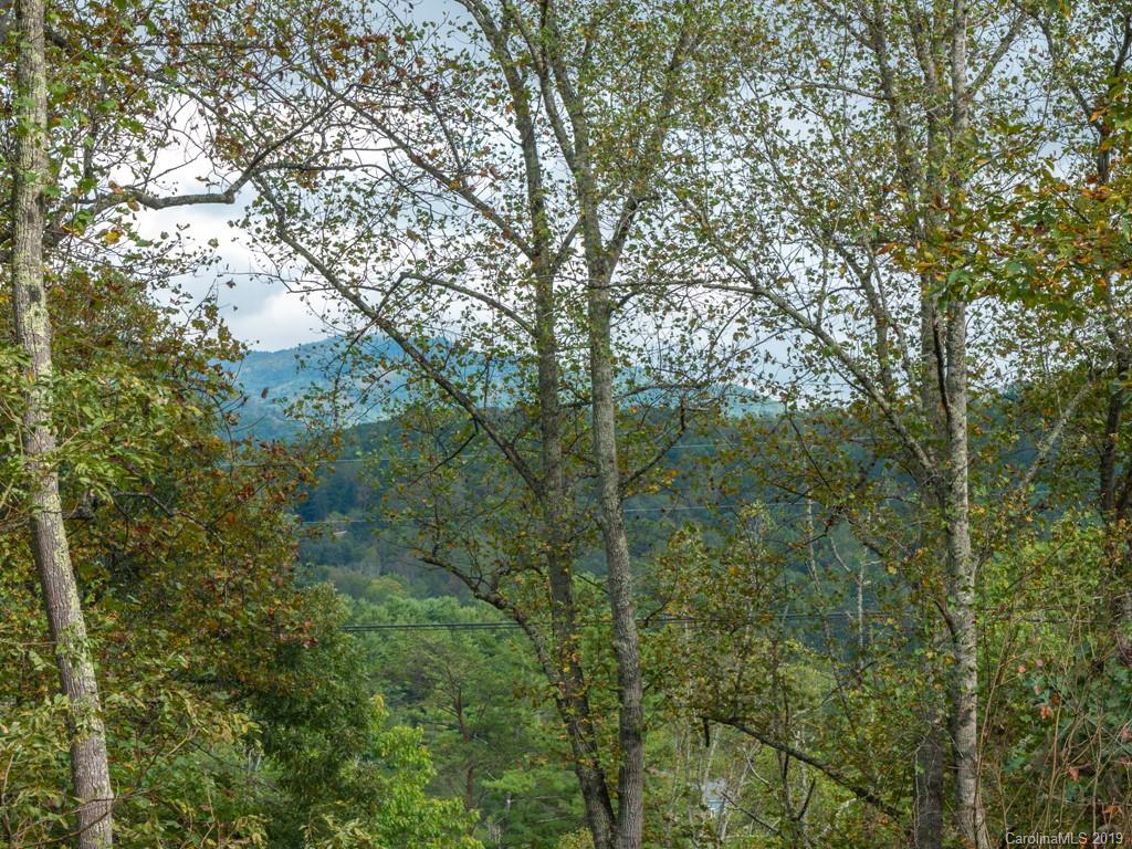64 Fox Den Road Asheville, NC 28805 - Photo 4 of 41 Gallery Image 4