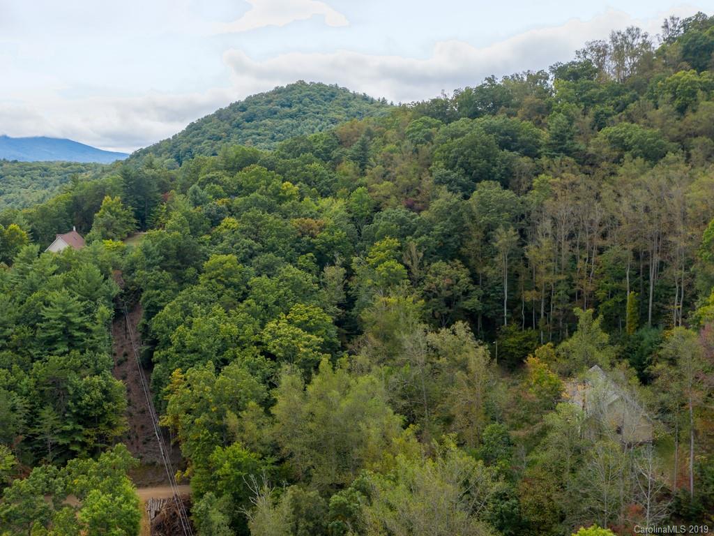 64 Fox Den Road Asheville, NC 28805 - Photo 38 of 41 Gallery Image 38
