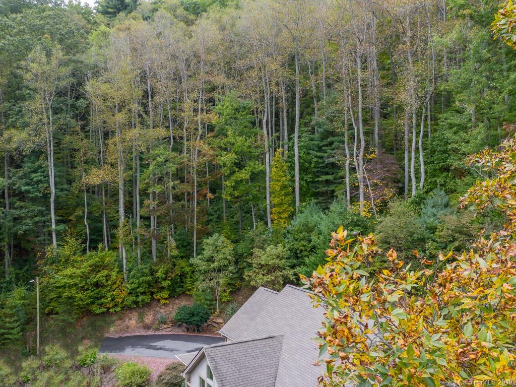 64 Fox Den Road Asheville, NC 28805 - Photo 39 of 41 Gallery Image 39