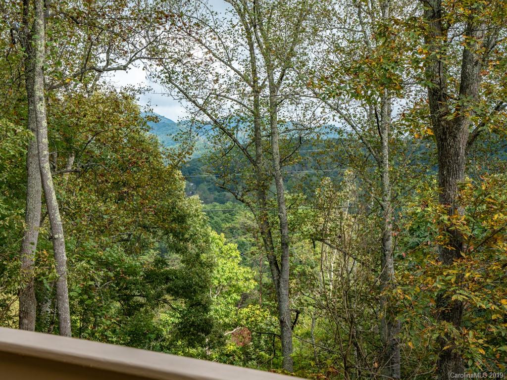 64 Fox Den Road Asheville, NC 28805 - Photo 7 of 41 Gallery Image 7