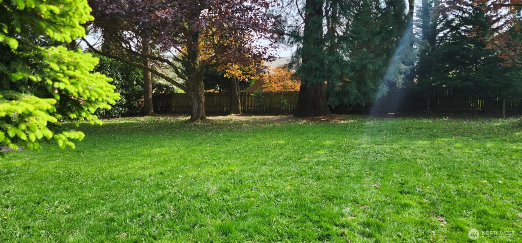 314 Insel Road Woodland, WA 98674 - Photo 14 of 32 a view of a backyard with large trees