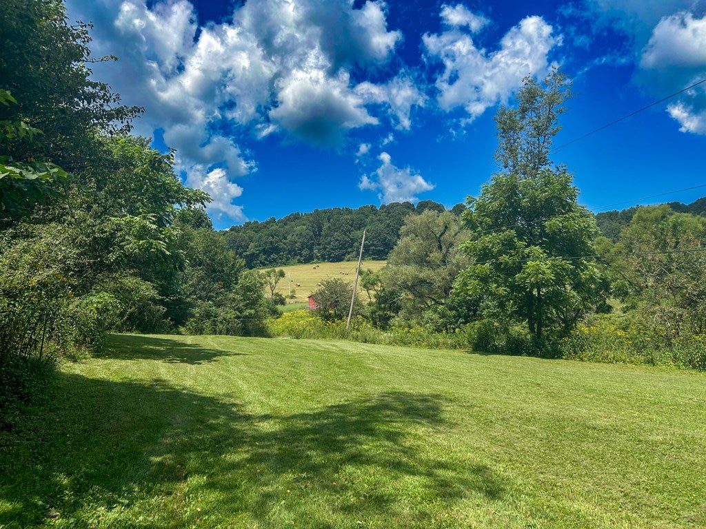 26-acres Tobler Road Rural Retreat, VA 24368 - Photo 42 of 60 Gallery Image 42
