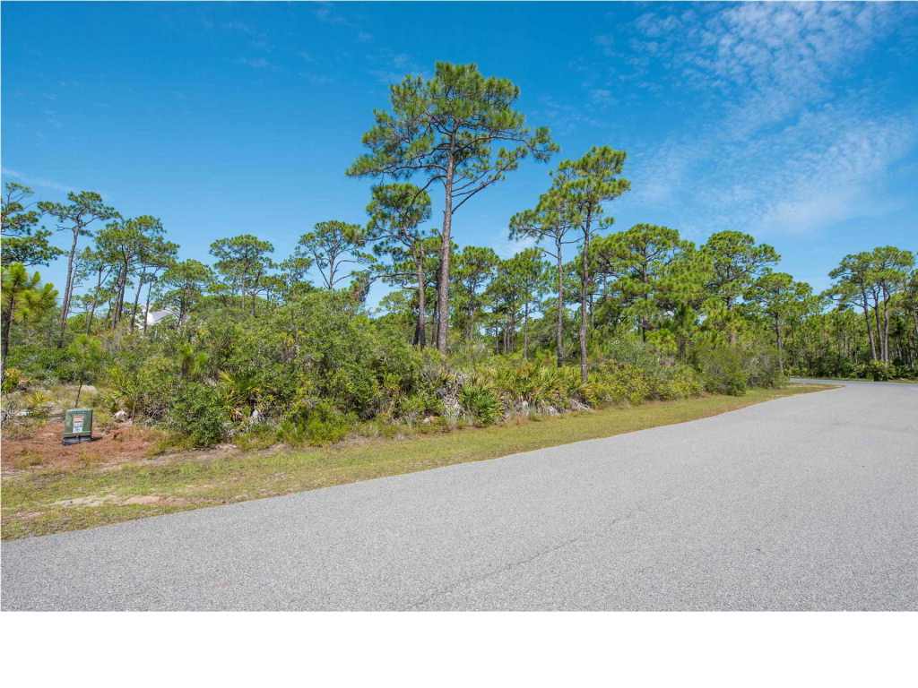 1656 Guava Trail Eastpoint, FL 32328 - Photo 12 of 16