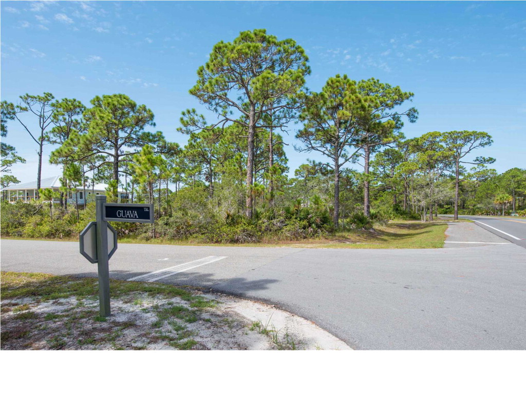 1656 Guava Trail Eastpoint, FL 32328 - Photo 13 of 16