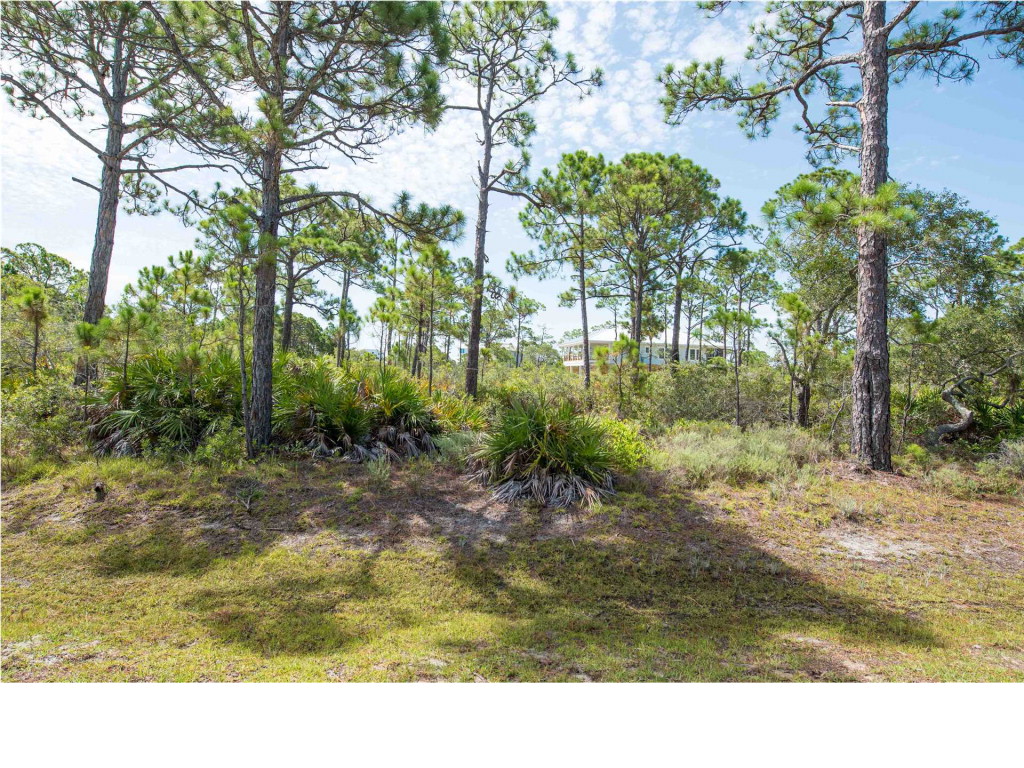 1656 Guava Trail Eastpoint, FL 32328 - Photo 14 of 16