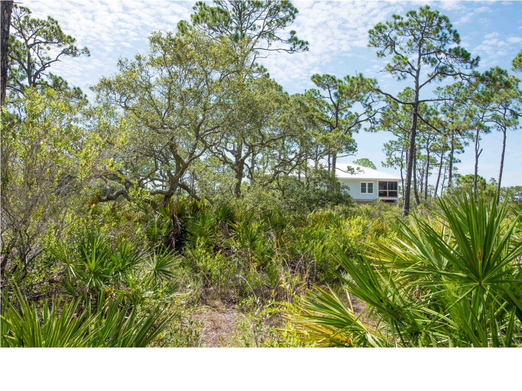 1656 Guava Trail Eastpoint, FL 32328 - Photo 15 of 16