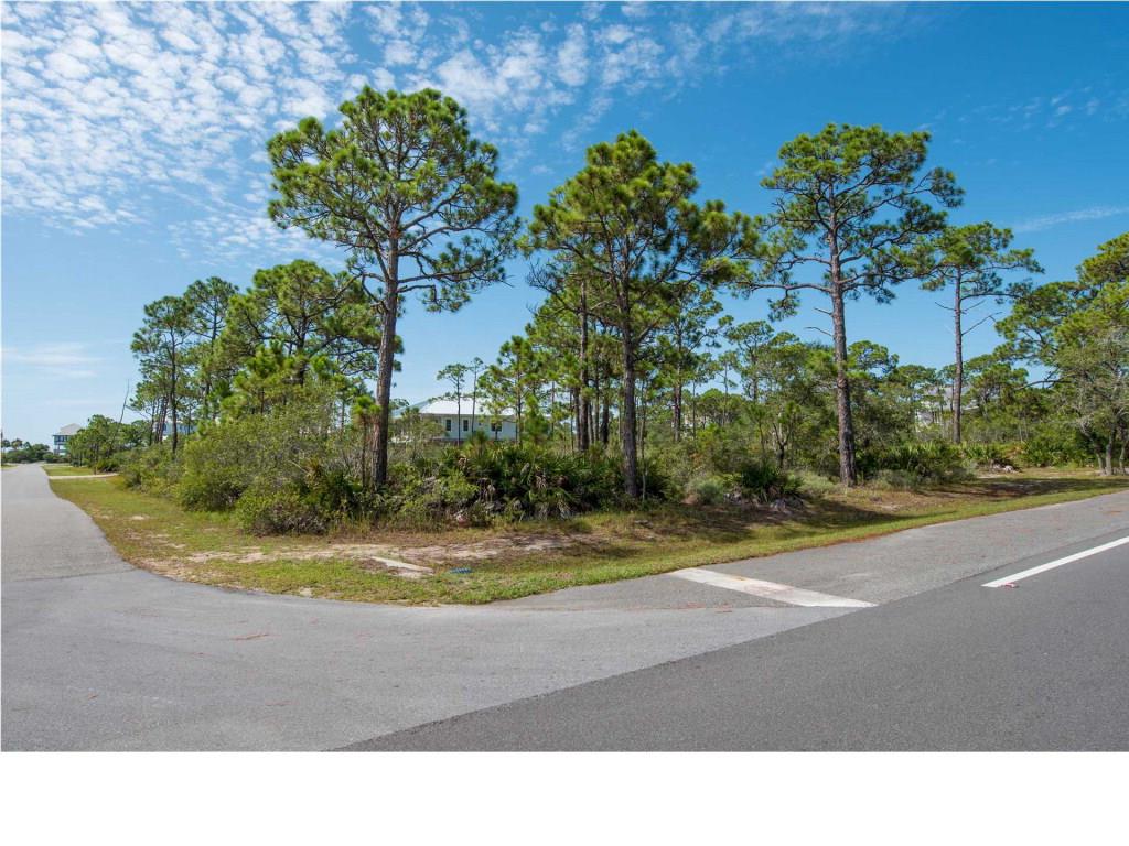 1656 Guava Trail Eastpoint, FL 32328 - Photo 16 of 16