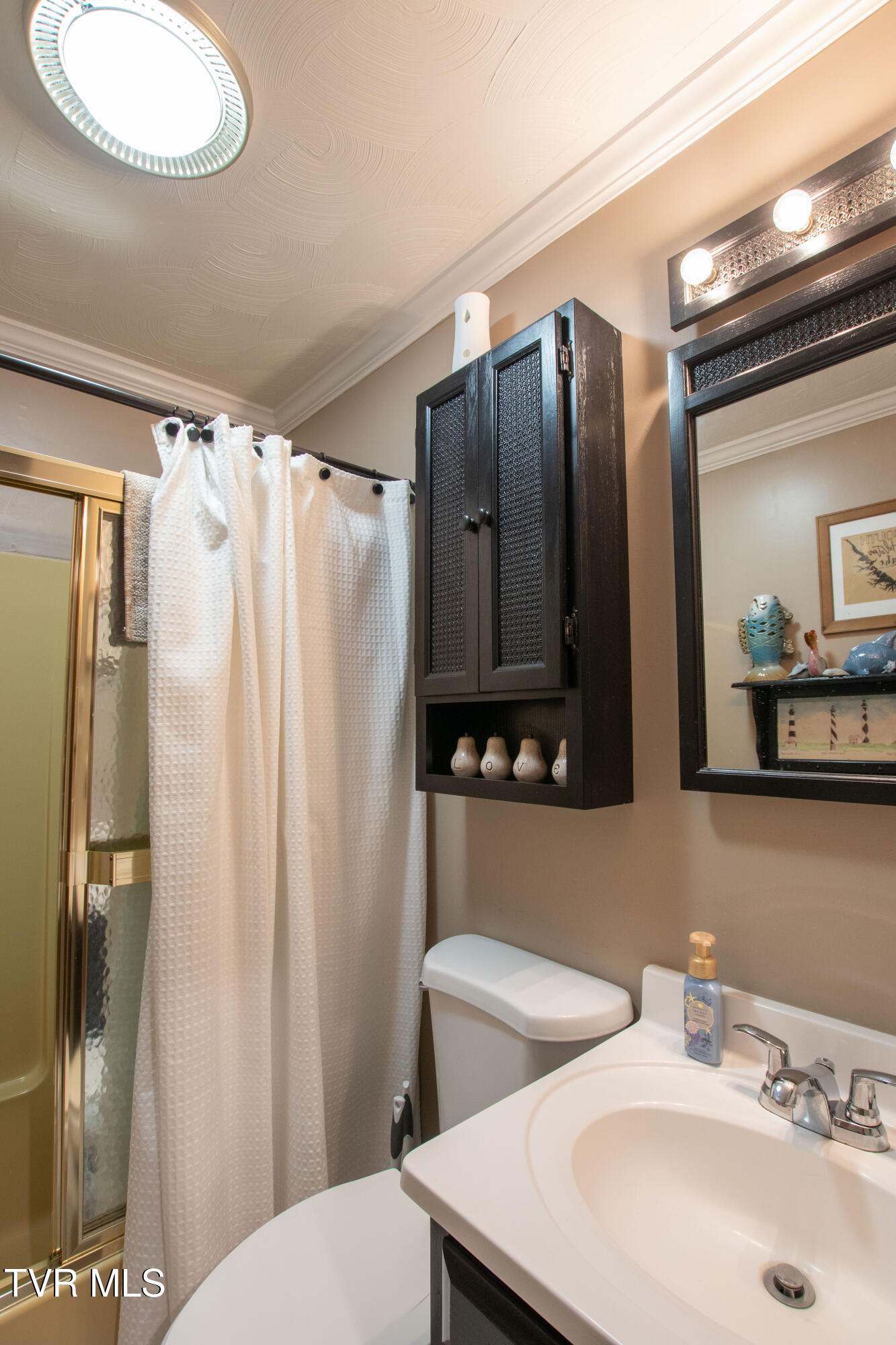 917 Painter Creek Road Bristol, TN 37620 - Photo 28 of 86 Guest Bath