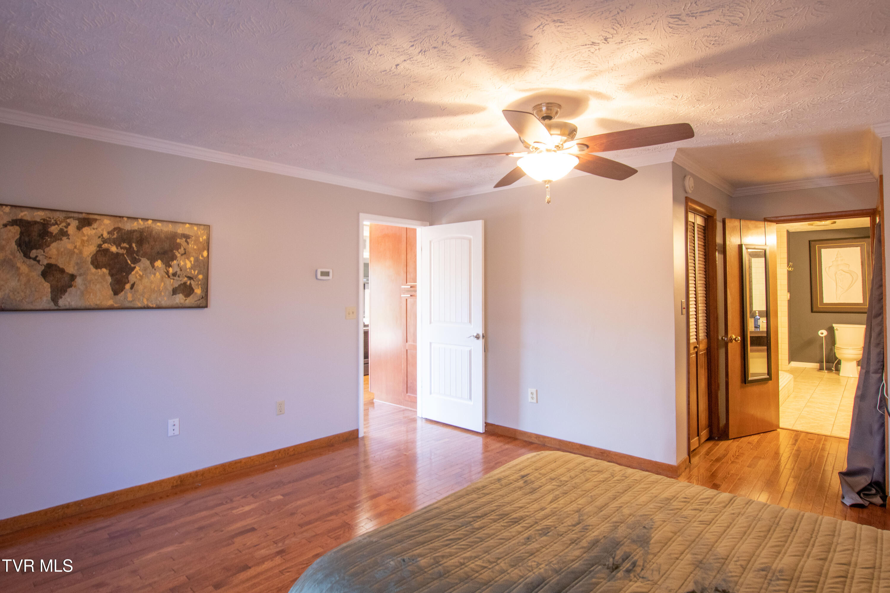 917 Painter Creek Road Bristol, TN 37620 - Photo 30 of 86 Primary Bedroom