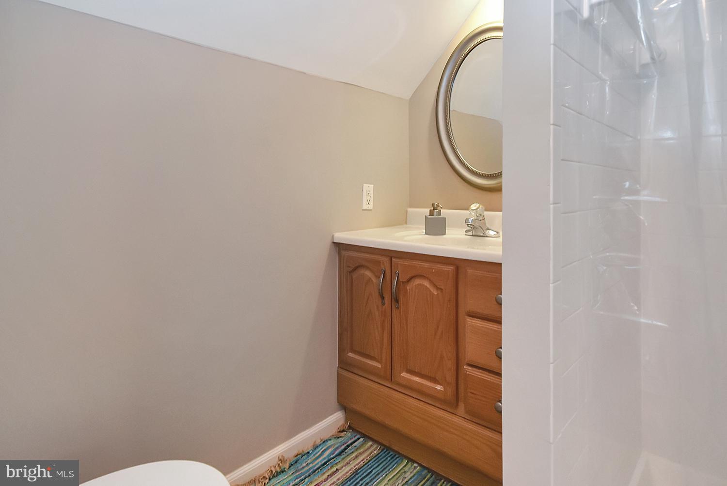 2605 Terrapin Road Silver Spring, MD 20906 - Photo 19 of 30 a bathroom with a sink and a mirror