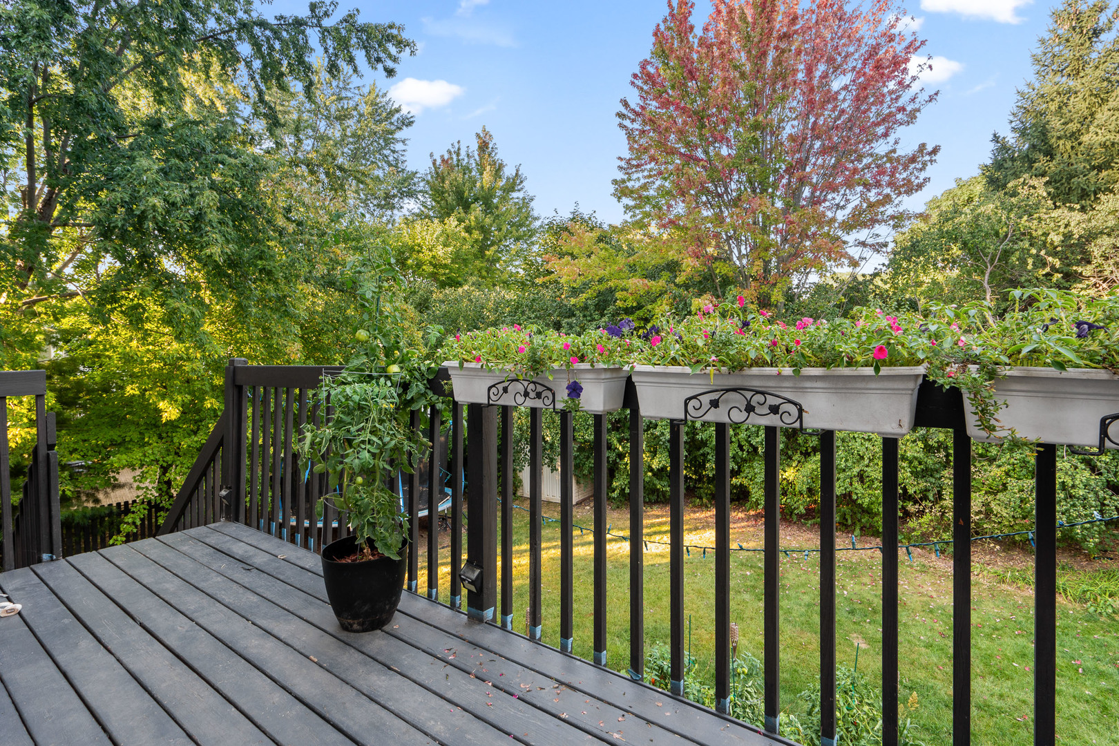 515 Surrey Ridge Drive Cary, IL 60013 - Photo 65 of 71 a view of outdoor space with deck and yard