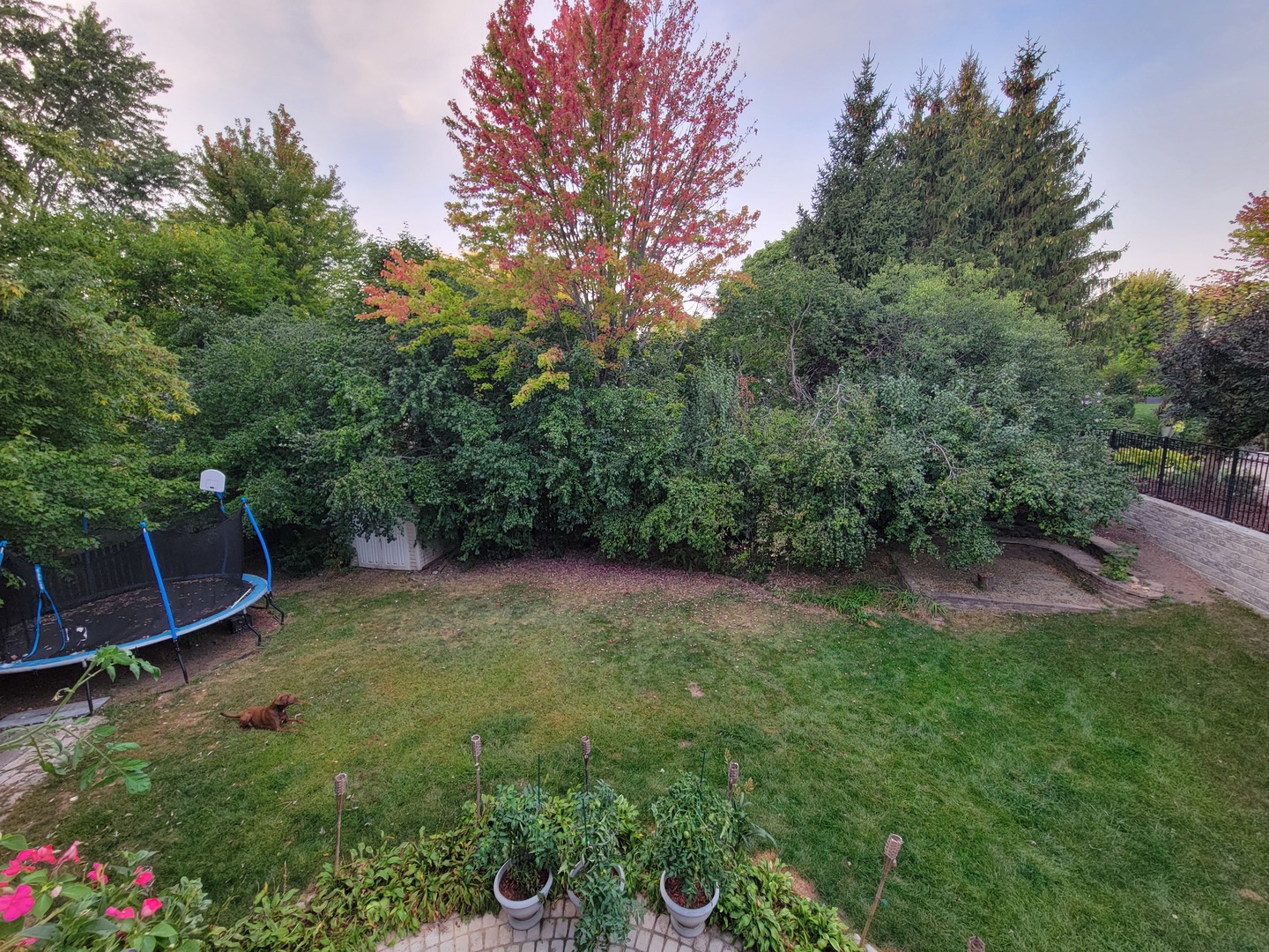 515 Surrey Ridge Drive Cary, IL 60013 - Photo 67 of 71 a view of backyard with green space