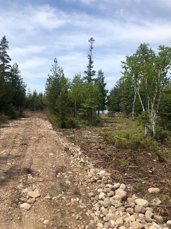 33882 South Dix Point Road Drummond Island, MI 49726 - Photo 19 of 19