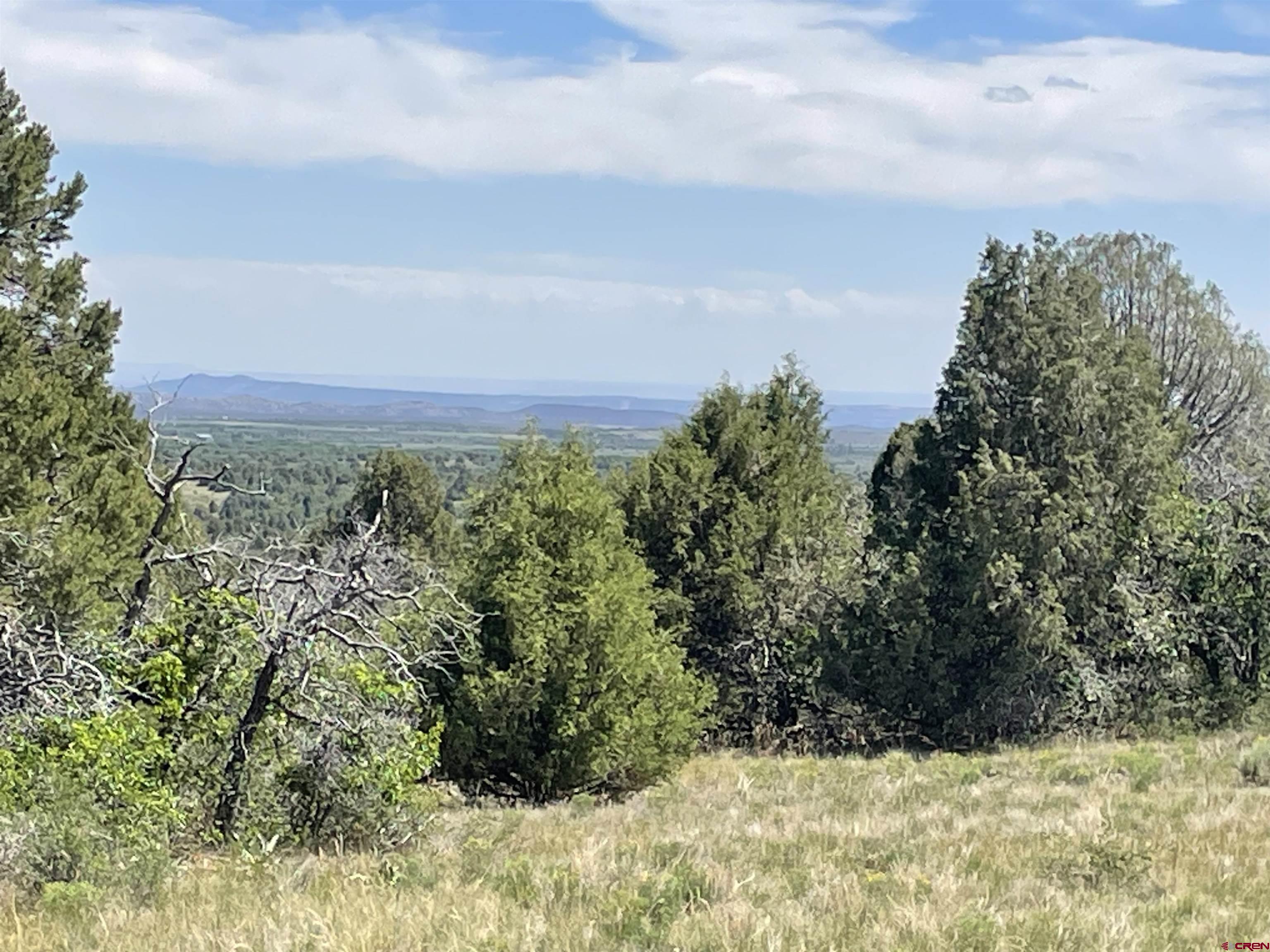 902 Roberts Ridge Drive Hesperus, CO 81326 - Photo 2 of 14 a view of a yard